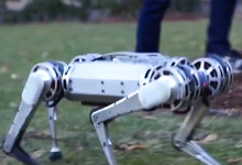 Mini-cheetah robot 