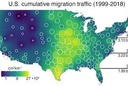 Cumulative bird migration map 