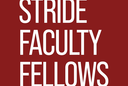 STRIDE Faculty Fellows