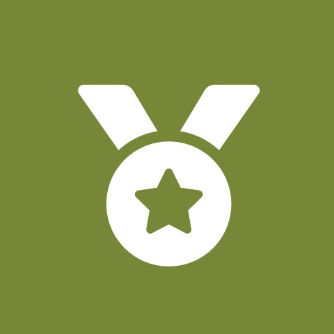 Award icon 