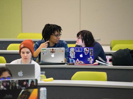 Two female students discussing together on a project