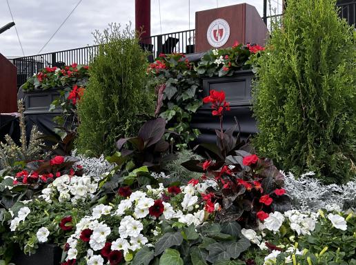 Commencement stage flowers