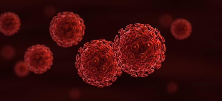 zoomed image of microscopic red blood cells