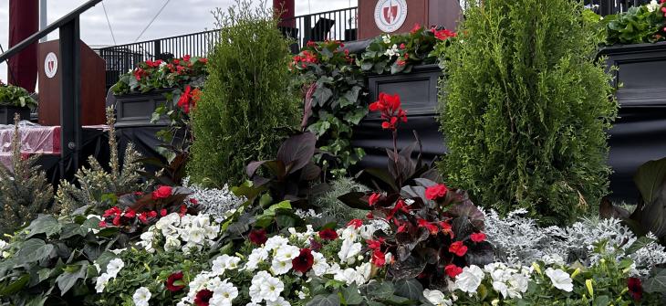 Commencement stage flowers