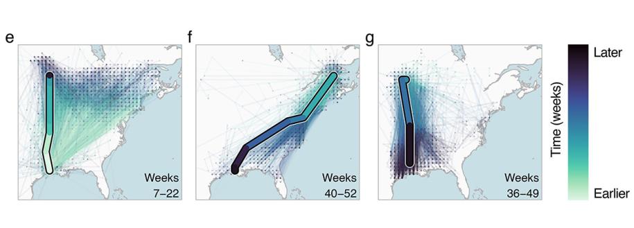 Birdflow migration trajectories